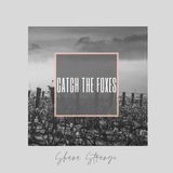 Catch the Foxes (single)